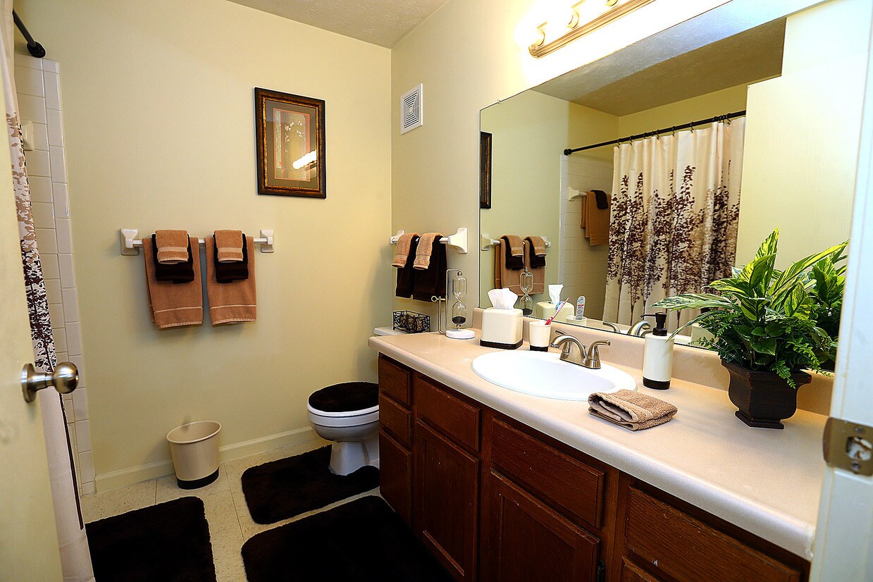 Autumn Trace Kokomo In Apartment Finder