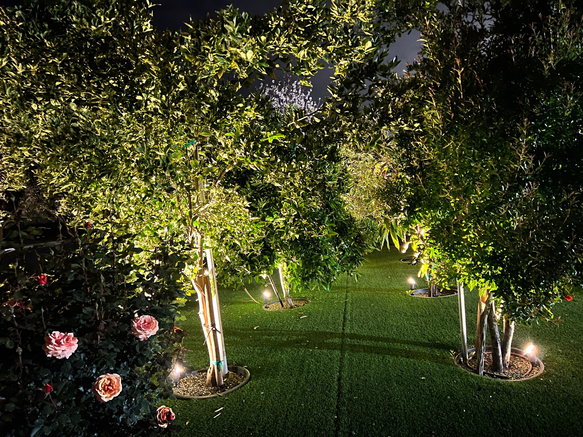 Building Photo - 7728 Sausalito Ave