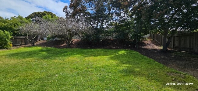 Building Photo - Orcutt Single Story Recently Updated Home with Large Yard