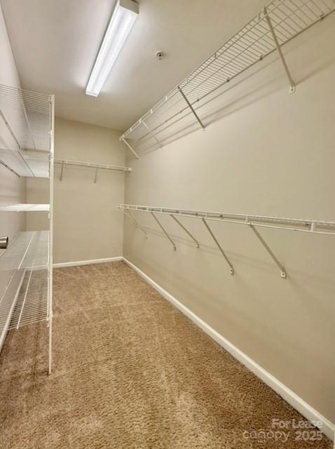 Building Photo - 3232 Margellina Drive