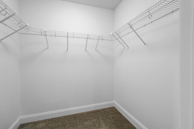 Building Photo - 1176 Elizabeth Ln