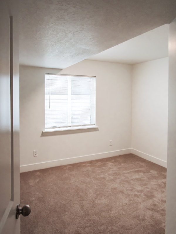 Building Photo - 4652 Cillian Ln