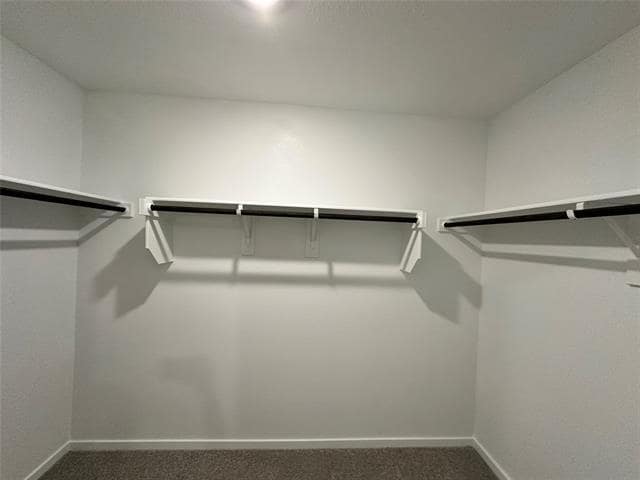 Building Photo - 1013 Calley Pear Trl