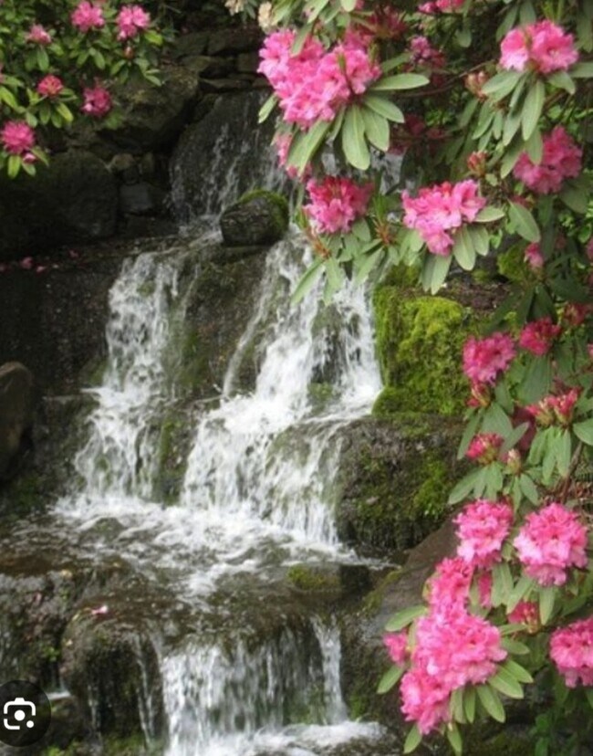 Building Photo - 303 Sugar Top Dr