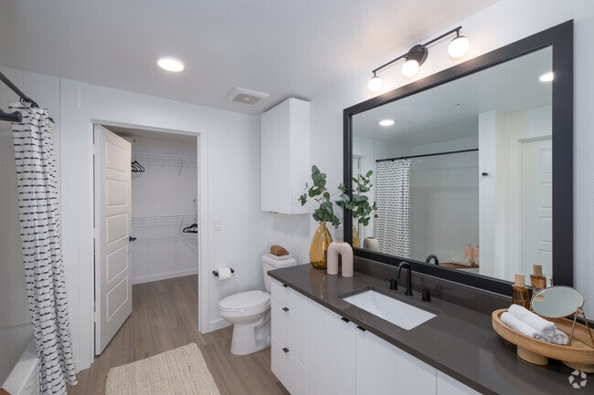 1BR, 1BA - 646SF - The Olivia