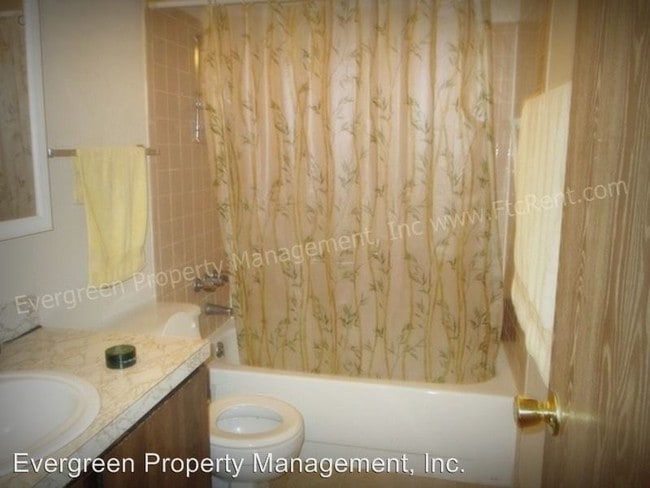 Interior Photo - 211 N Shields St