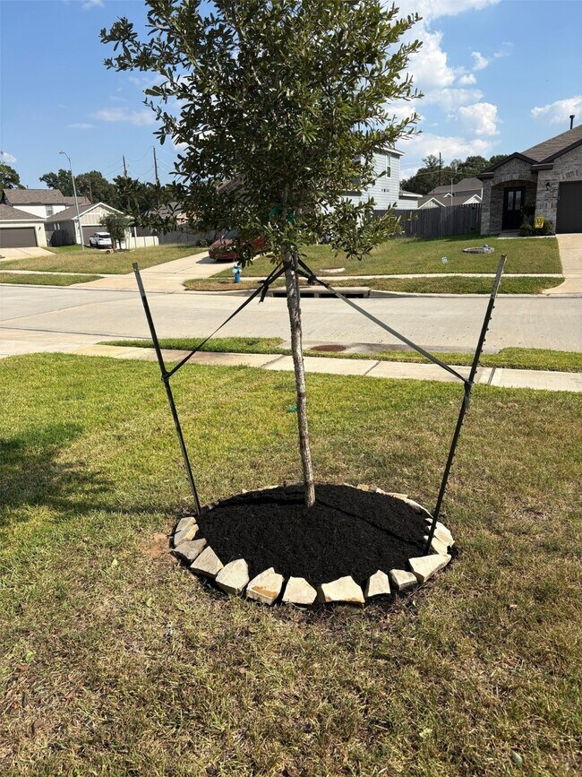 Building Photo - 10818 Catclaw Ct