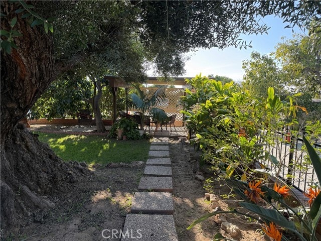 Building Photo - 3590 Buchanan St