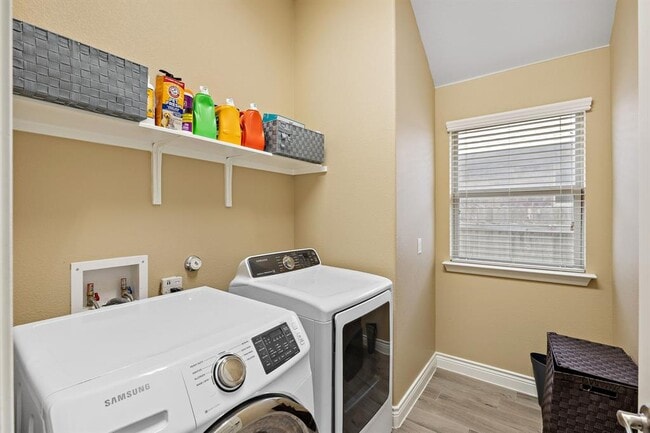 Building Photo - 163 Mount Ellen St