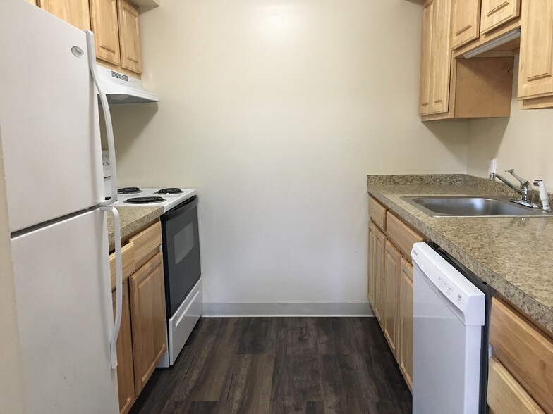 Kitchen - 255 Stevens St