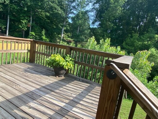 Building Photo - 1165 Bonnie Ln