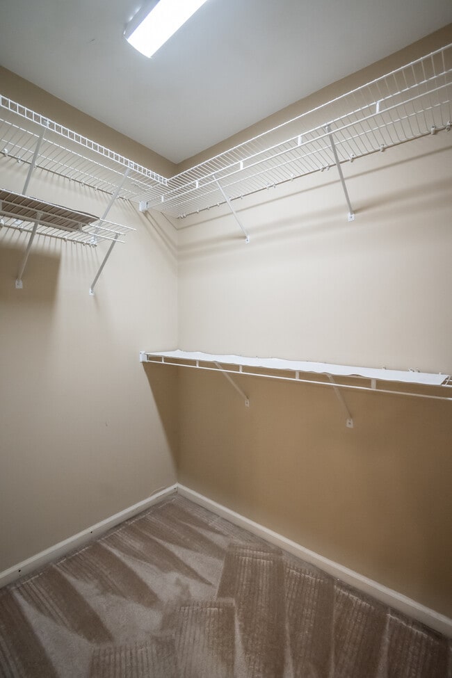 Building Photo - 119 Spring Lake Dr