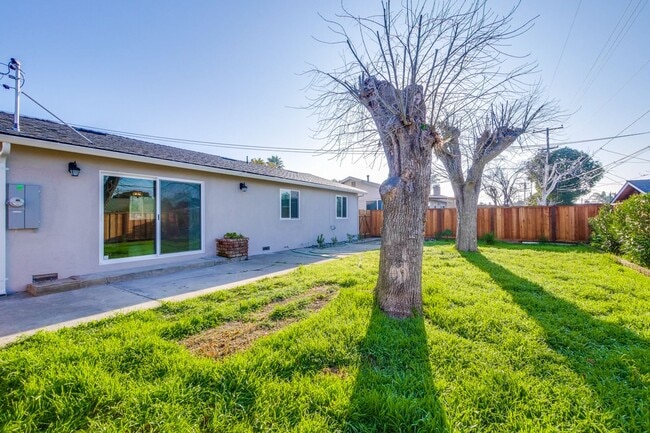 Building Photo - 1425 Sunshadow Ln
