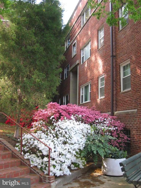 Building Photo - 1311 N Ode St
