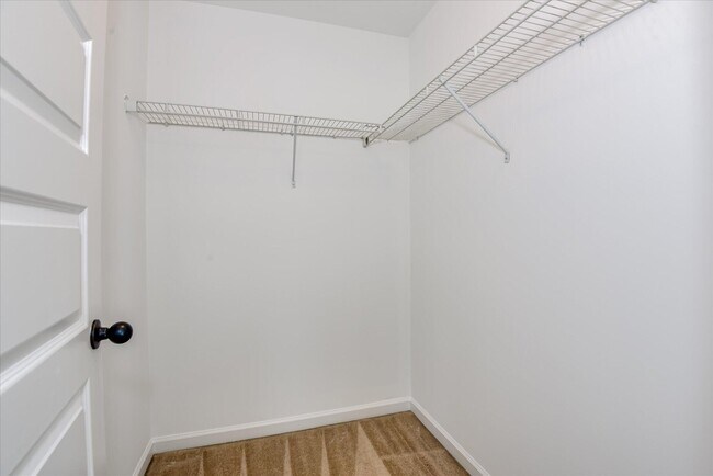 Building Photo - 873 Rollo Domino Cir