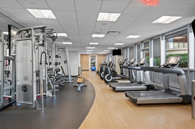 Building Photo - 127 Greyrock Pl