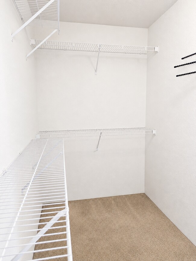 Building Photo - 3 Bedroom Home for Rent in Green Valley Ranch | Pet Friendly | Granite Counters | Near DIA