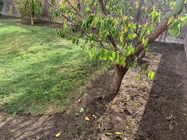 Building Photo - Coming Soon!