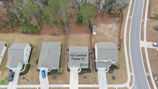Building Photo - 103 Cardinal Flower Ct