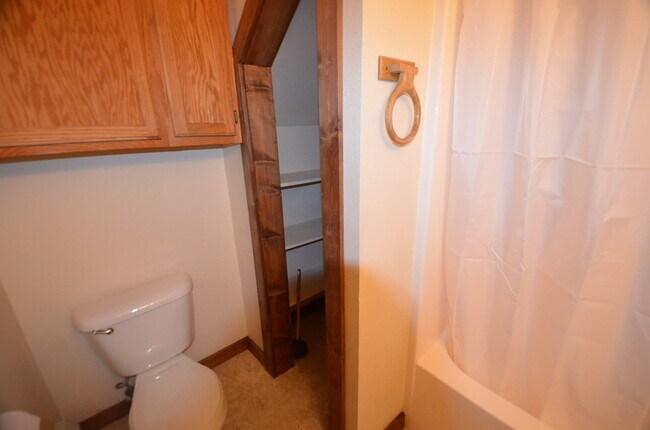 Building Photo - Dogs Negotiable! 25 Minutes from Breckenridge!