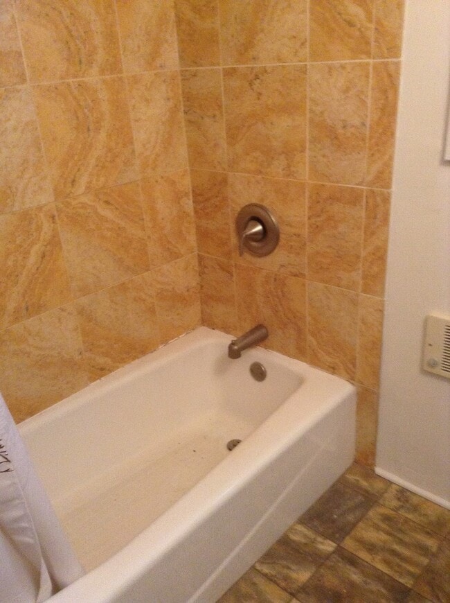 Building Photo - Beautiful 5 BR Campus Home w/Large Fenced Yard