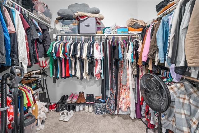 Building Photo - 1245 La Bamba Dr