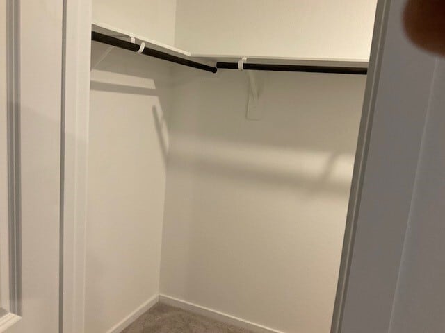 Building Photo - 1627 Birch Wood Dr