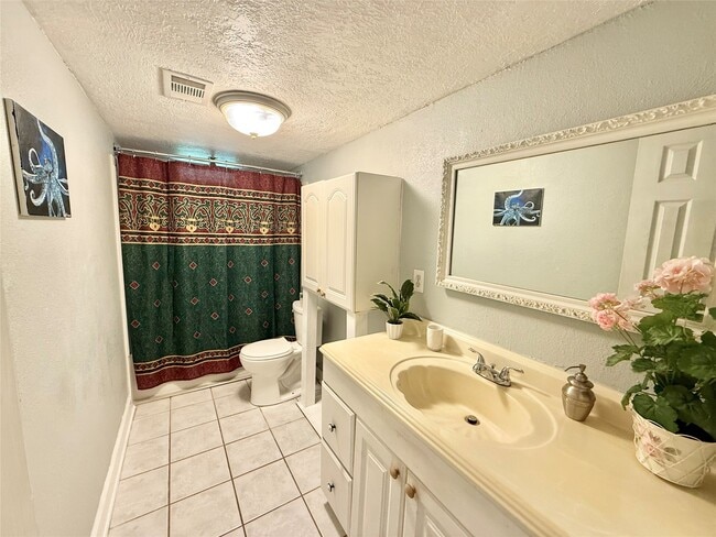 Building Photo - 2434 Shady Creek Ln