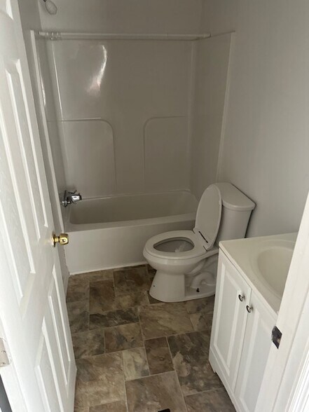 Hall bathroom - 203 E Carter St
