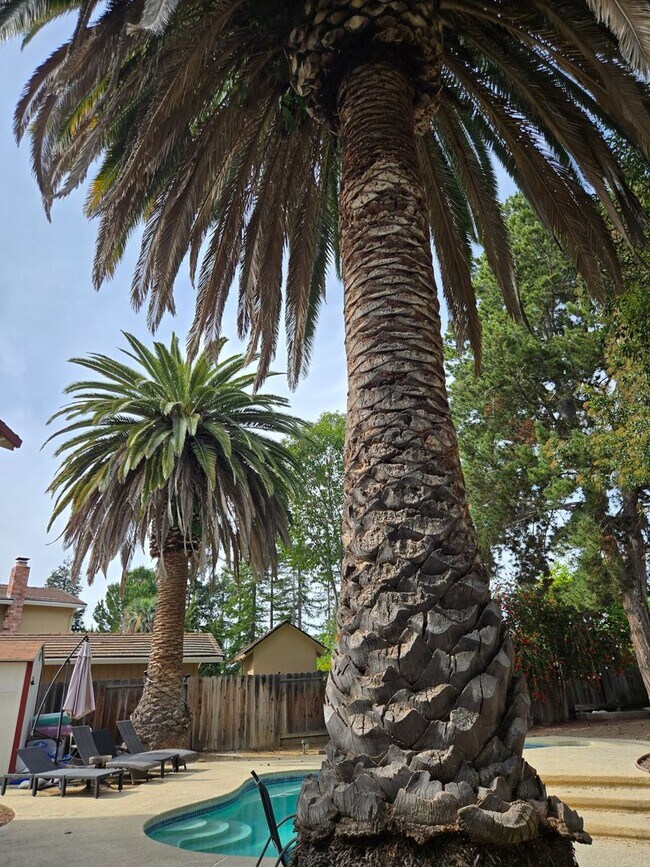Building Photo - Phenomenal 4BD/3BA Single-Family Home in Quiet and Peaceful Pleasanton!
