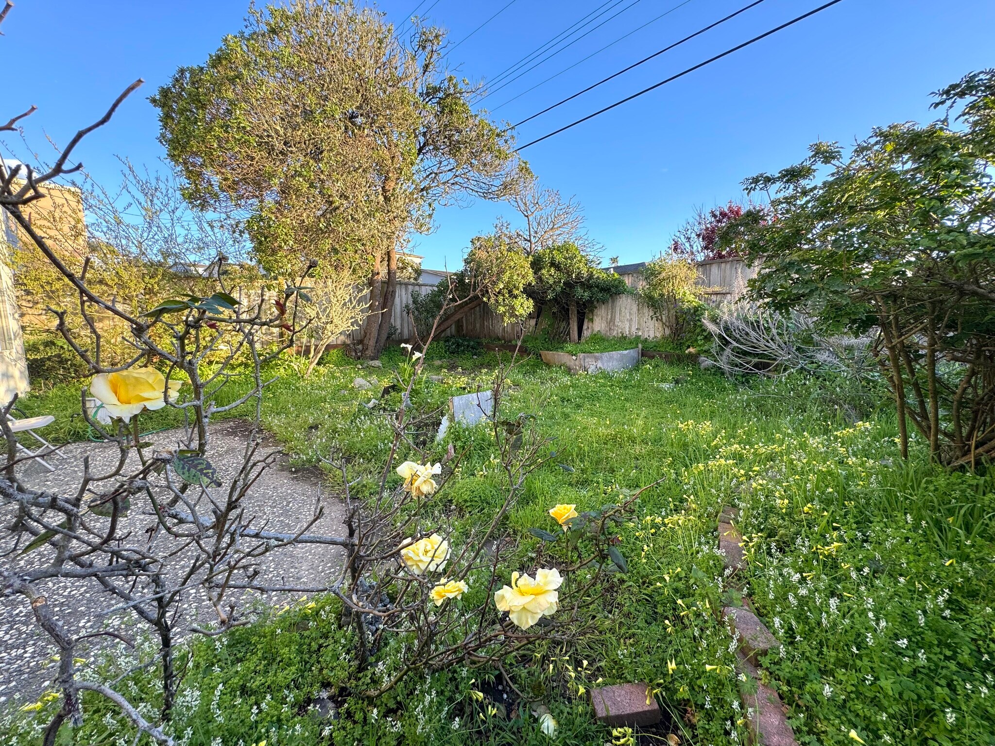 Building Photo - 1315 Skyline Dr