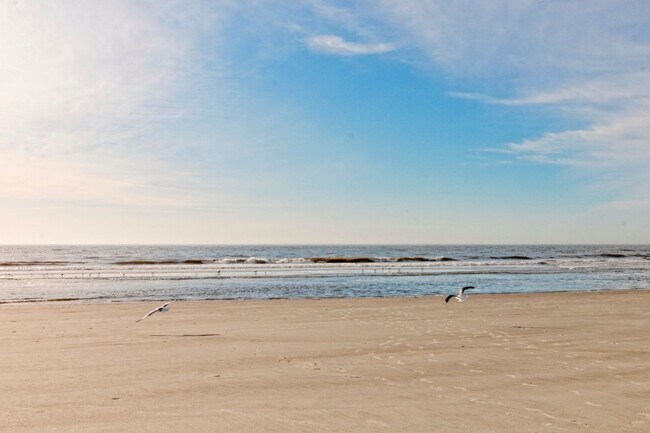 Building Photo - Furnished 2BR/2BA on Hilton Head - Hilton Head Resort Community - Available Now