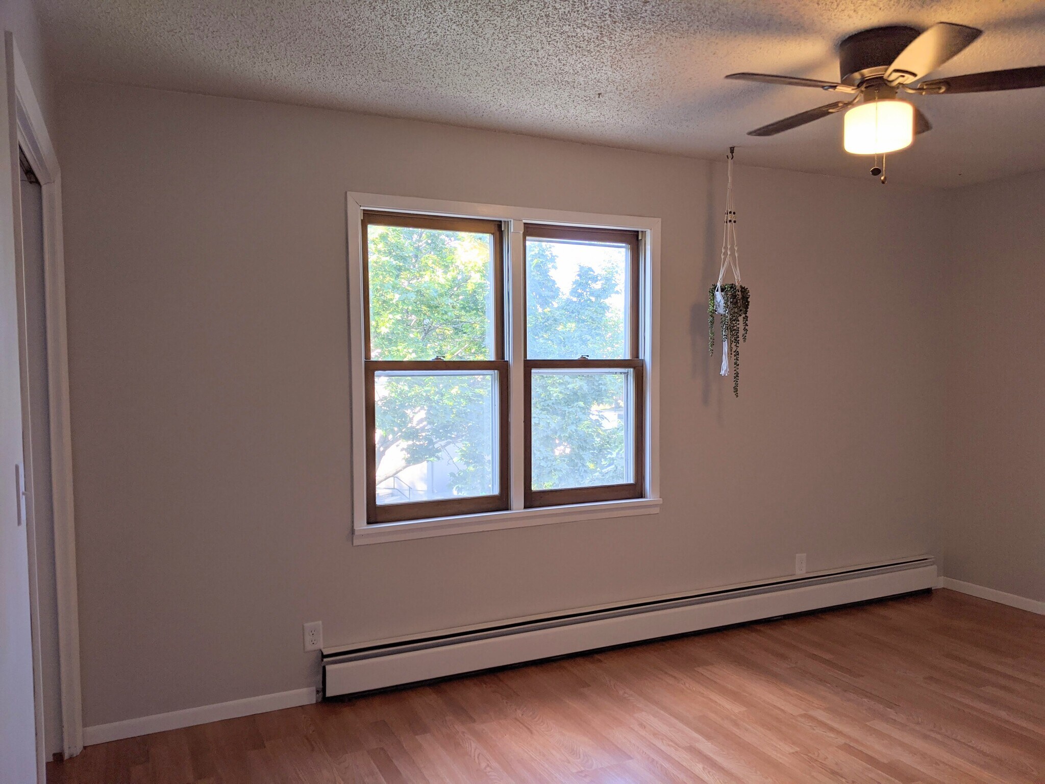 Living Room - 680 Juno Ave