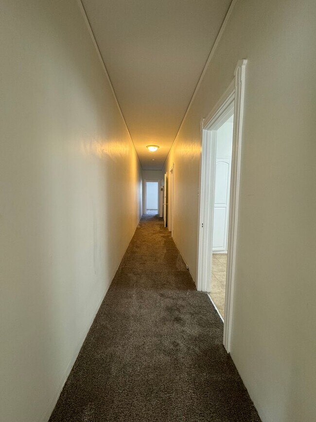 Building Photo - Welcome to Your New Home: Stunning Apartments in Orange St.