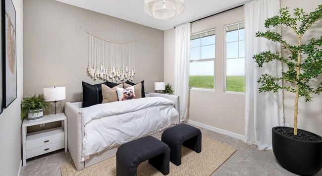 Building Photo - BRAND NEW 4/3.5 (HUGE) Elk Grove!   Please see marketing ad for viewings.