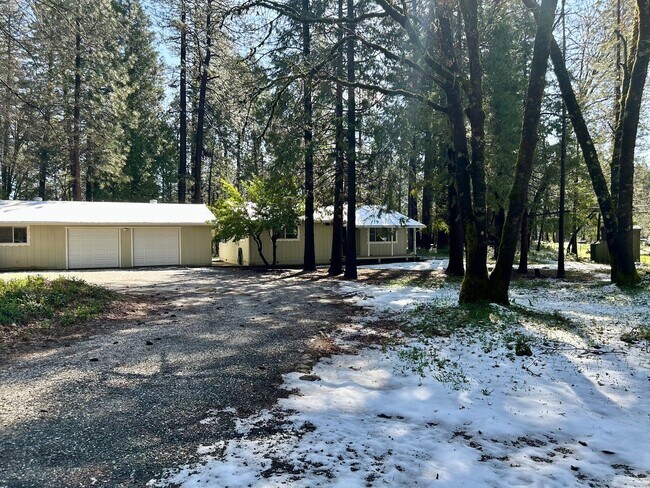 Building Photo - Wooded 2 bedroom cabin in nice neighborhood