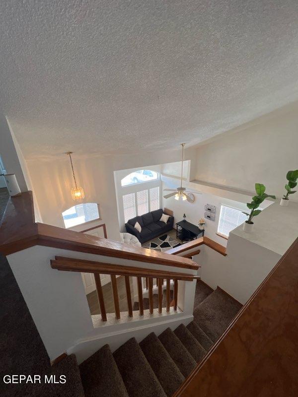 Building Photo - 12157 Chato Villa Dr