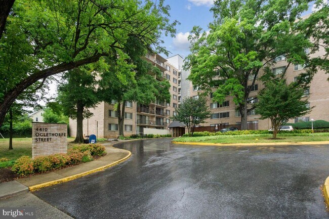 Primary Photo - 4410 Oglethorpe St