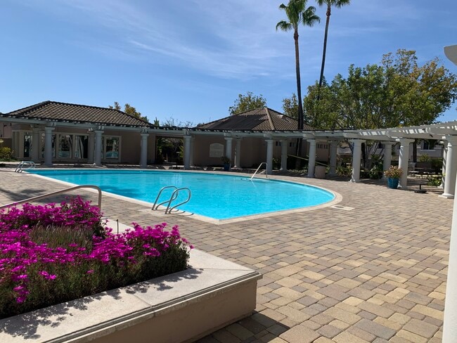 Community pool - 18950 Caminito Cantilena