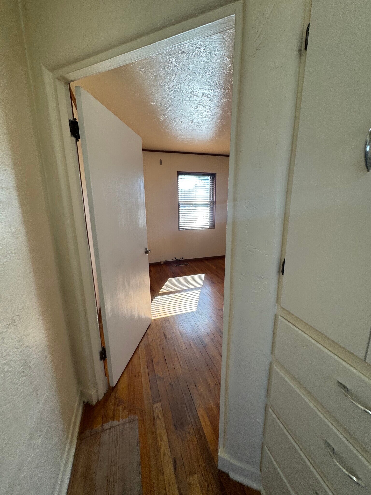 Building Photo - 2113 Madeira Dr NE