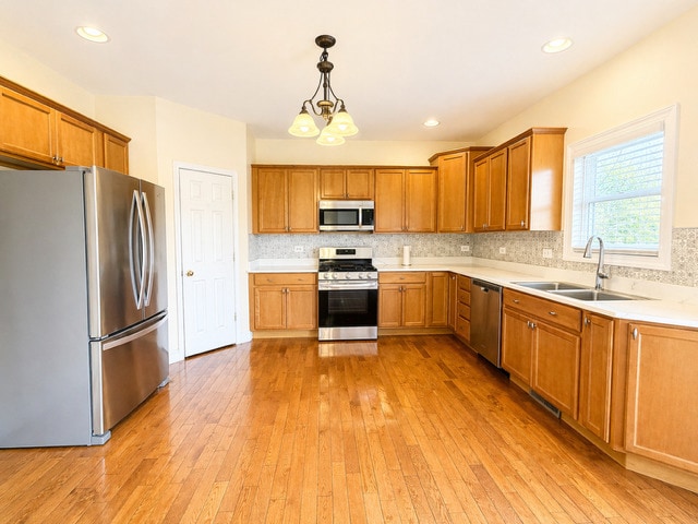 Building Photo - 239 Richards Ct