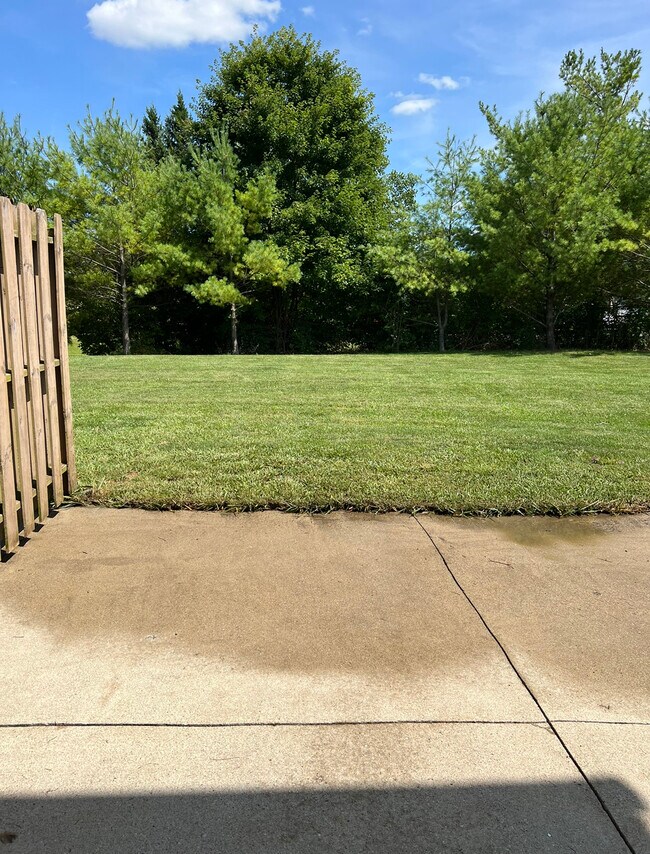 backyard - 4920 Drayton Rd