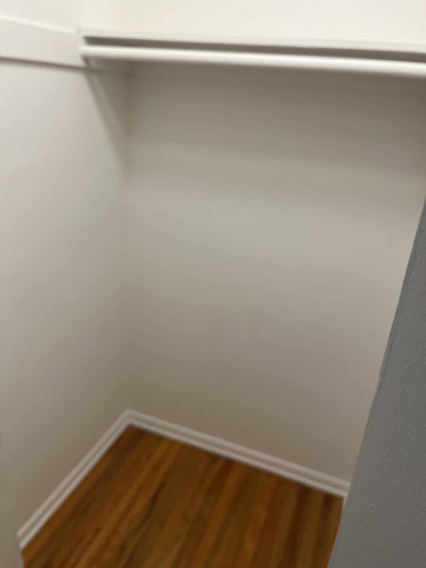 BR Closet 2 - 3171 S Barrington Ave
