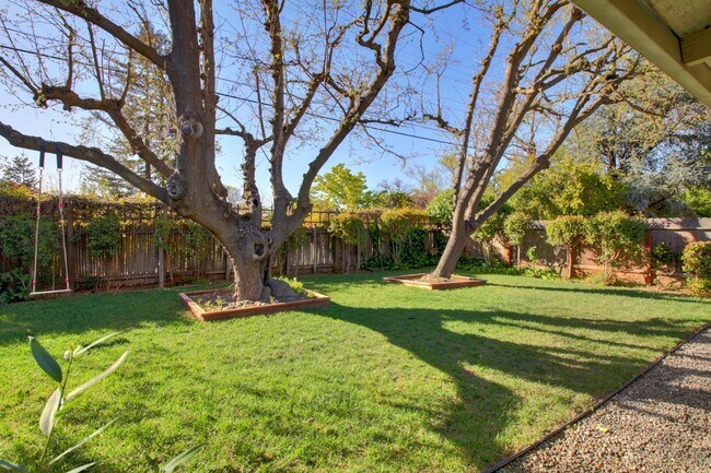 Building Photo - Great Central Davis 3 bedroom 2 bath home