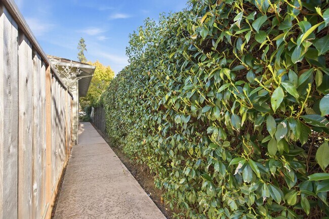 Building Photo - 541 Jackson Ave