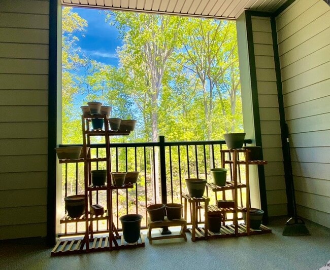 Building Photo - 13273 Coalfield Station Ln