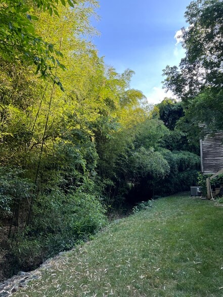 backyard - 130 E Longview St