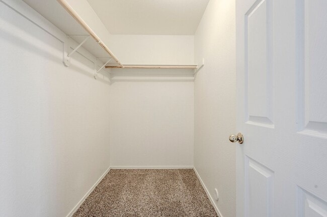 Building Photo - Beautifully Updated 4-Bedroom Home with Easy Access to Loop 101!