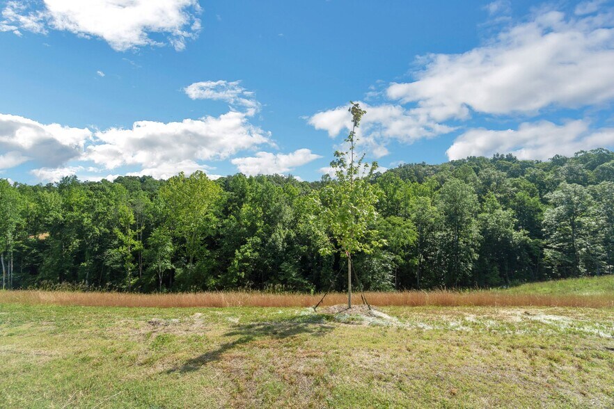 Building Photo - 12129 Rowan Hill Dr