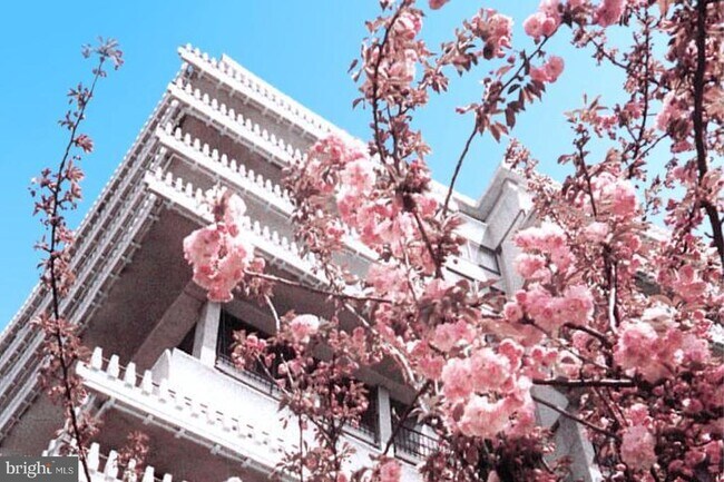 Building Photo - 2510 Virginia Ave NW